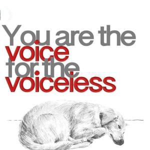 You are the voice for the voiceless